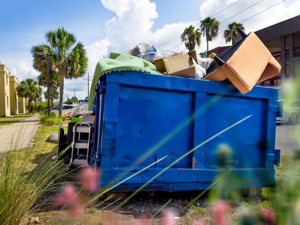 Professional Junk Removal  in Belhaven, NC